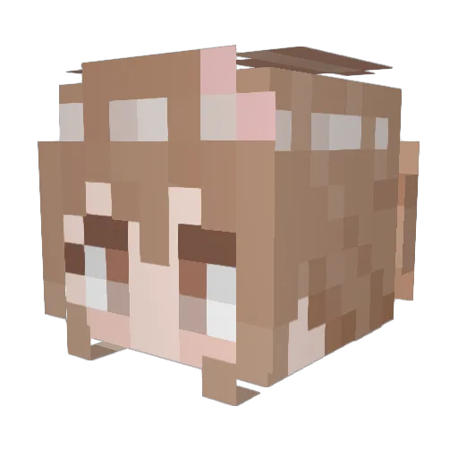 name04 Minecraft avatar head, 3D render