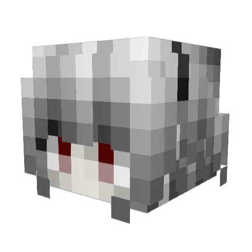 nameEO Minecraft avatar head, 3D render