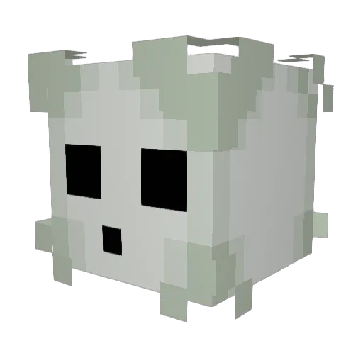 nameduser_ Minecraft avatar head, 3D render