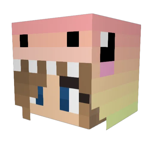 nameisalreadytak Minecraft avatar head, 3D render