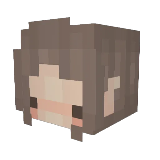 nameiwontforget Minecraft avatar head, 3D render