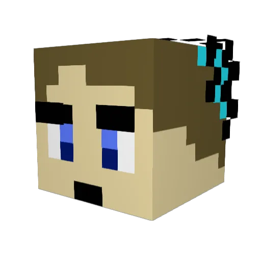 nameless09 Minecraft avatar head, 3D render