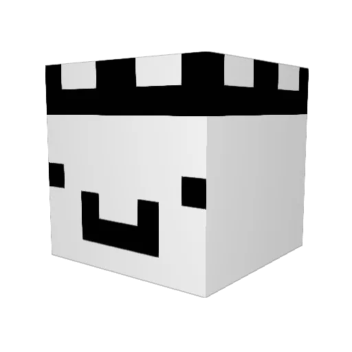 nameless2025 Minecraft avatar head, 3D render