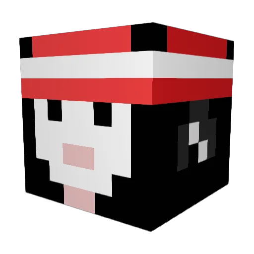 nameless8069 Minecraft avatar head, 3D render