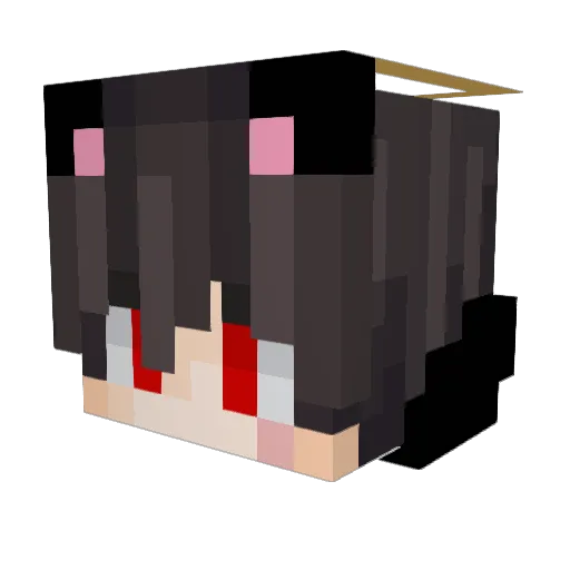 nameless__2004 Minecraft avatar head, 3D render
