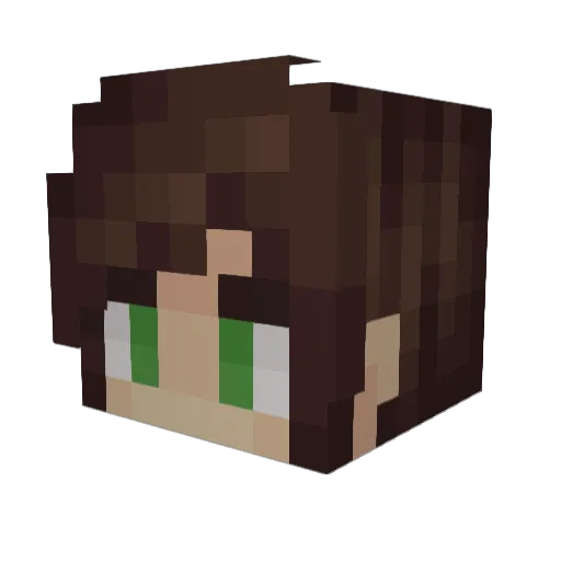 nameless__one Minecraft avatar head, 3D render
