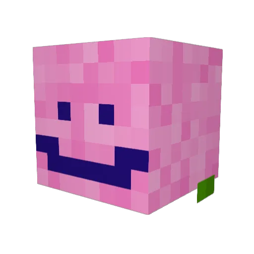 namenamenamename Minecraft avatar head, 3D render
