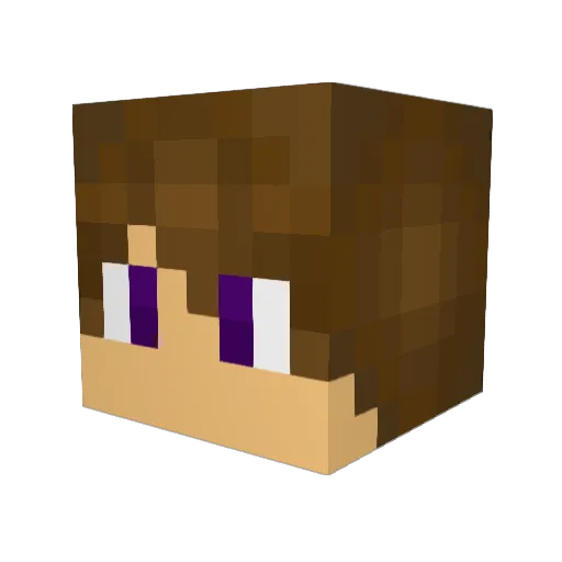 nameqqkeritnameq Minecraft avatar head, 3D render