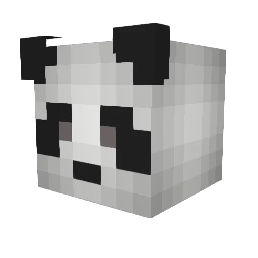 names_be_hard Minecraft avatar head, 3D render