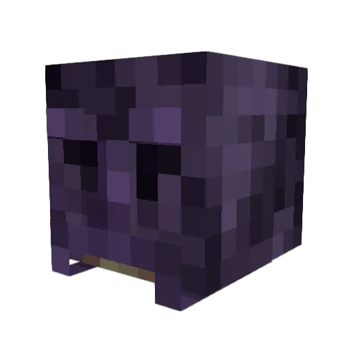 namesaidan Minecraft avatar head, 3D render