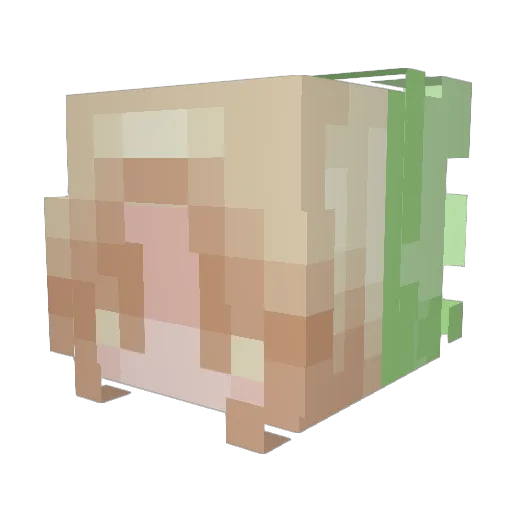 nami_desu Minecraft avatar head, 3D render