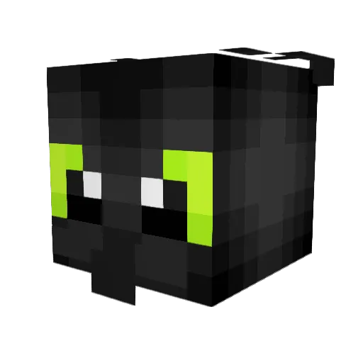 namir20 Minecraft avatar head, 3D render
