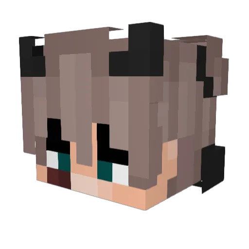 namminwoo0339 Minecraft avatar head, 3D render