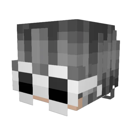 namoracomigo Minecraft avatar head, 3D render