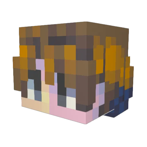 namsg Minecraft avatar head, 3D render