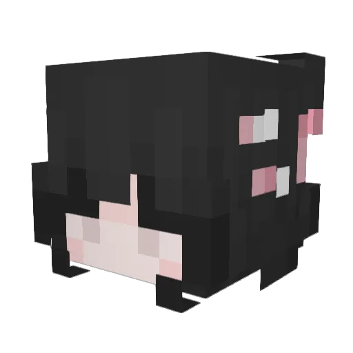 namusky Minecraft avatar head, 3D render