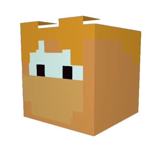 namyaR Minecraft avatar head, 3D render
