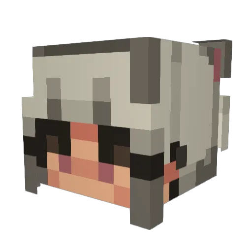 nan0melon Minecraft avatar head, 3D render