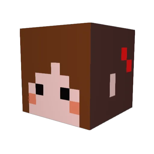 nanacop Minecraft avatar head, 3D render