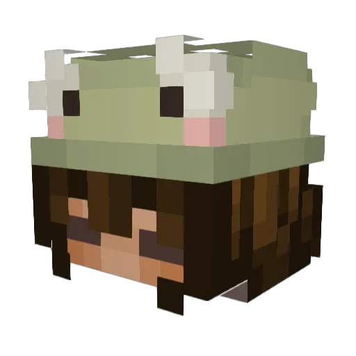nanagerald Minecraft avatar head, 3D render