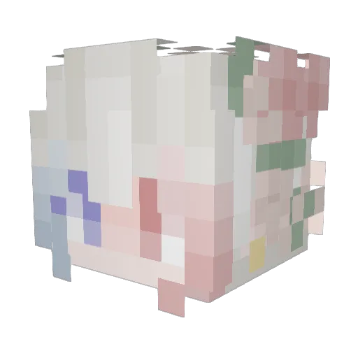 nanainaqnaa Minecraft avatar head, 3D render