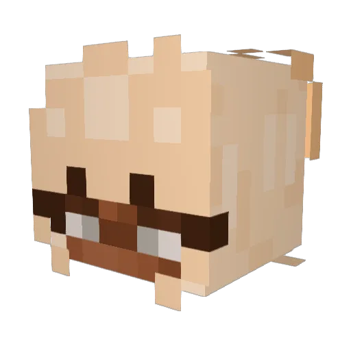 nanakanyoo Minecraft avatar head, 3D render