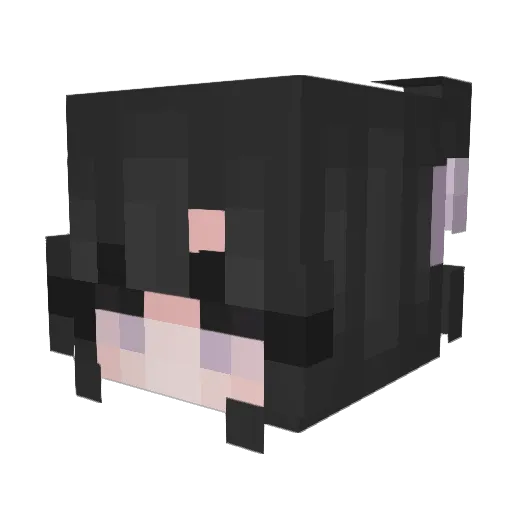 nananon03 Minecraft avatar head, 3D render