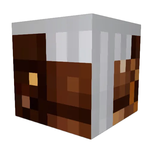 nanchoko Minecraft avatar head, 3D render