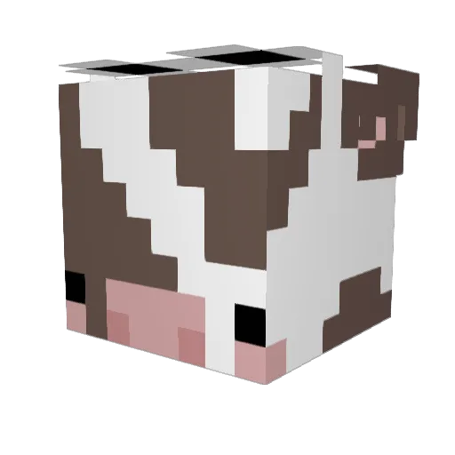 nancy2mills Minecraft avatar head, 3D render