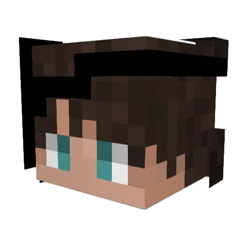 nancydesu Minecraft avatar head, 3D render