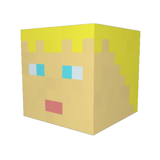 nancydrew206 Minecraft avatar head, 3D render