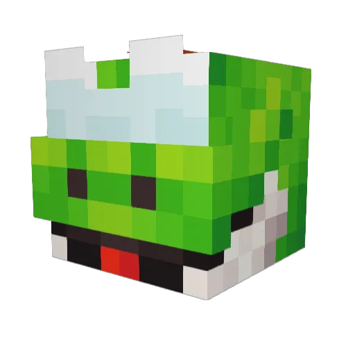 nandios Minecraft avatar head, 3D render