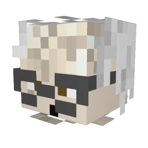 nandordena Minecraft avatar head, 3D render
