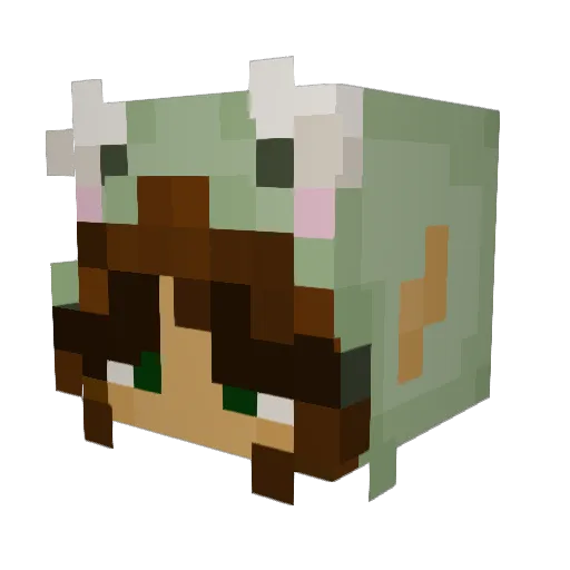 nandos03 Minecraft avatar head, 3D render