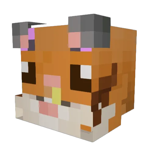 naneundongjin Minecraft avatar head, 3D render