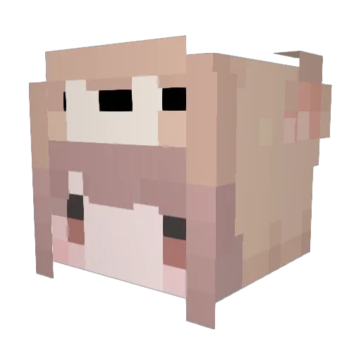 nangua0519 Minecraft avatar head, 3D render