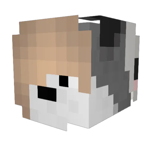 nanimo2 Minecraft avatar head, 3D render