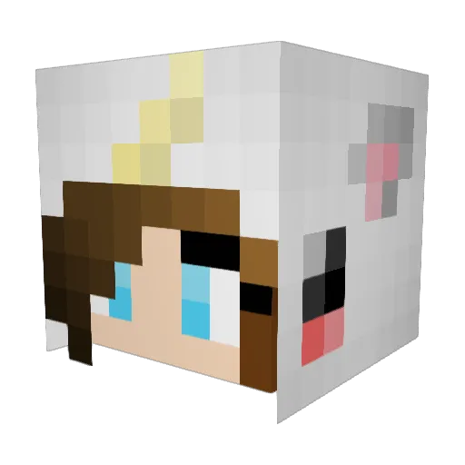 nanis03 Minecraft avatar head, 3D render