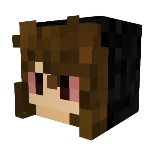 nanis420 Minecraft avatar head, 3D render