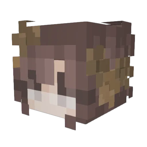 naniusia Minecraft avatar head, 3D render