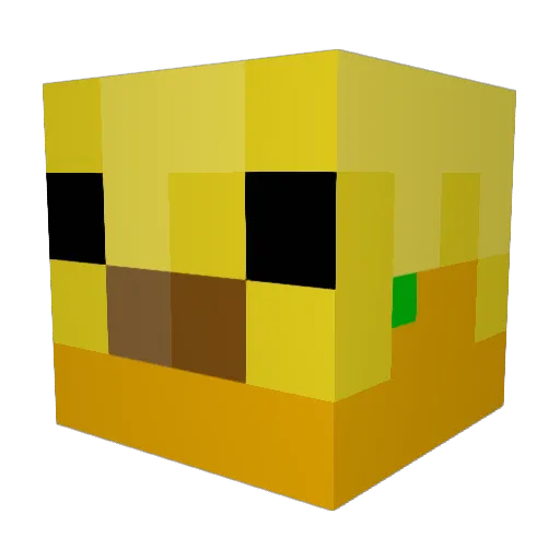nanku1220 Minecraft avatar head, 3D render