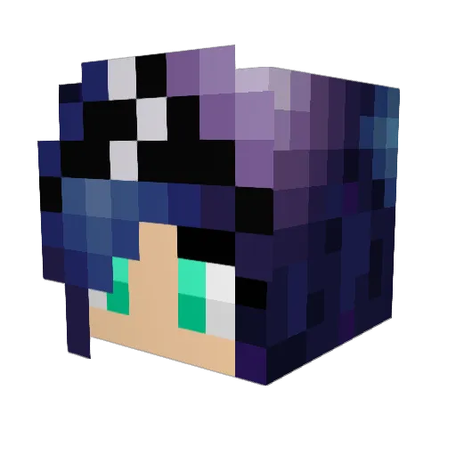 nanna2860 Minecraft avatar head, 3D render
