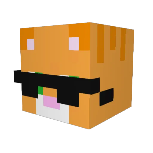 nannan_o Minecraft avatar head, 3D render