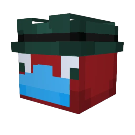 nannybarbara Minecraft avatar head, 3D render
