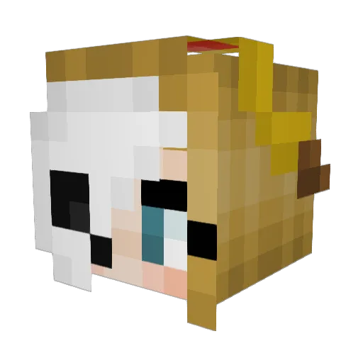 nano2250 Minecraft avatar head, 3D render