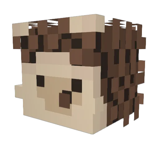 nano_oO Minecraft avatar head, 3D render