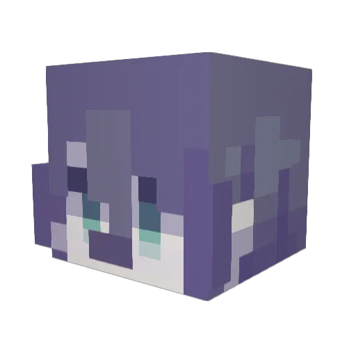 nanocat6 Minecraft avatar head, 3D render