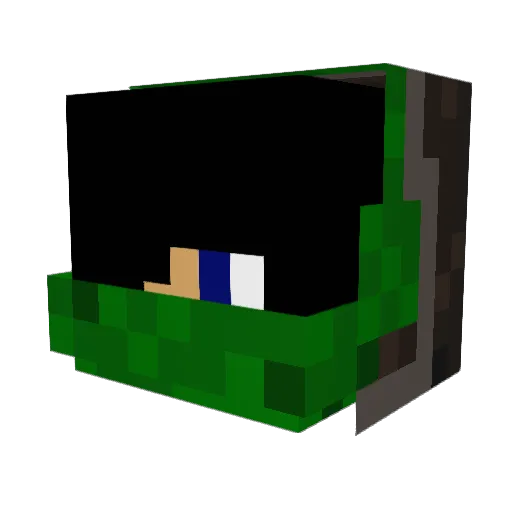 nanodrew Minecraft avatar head, 3D render