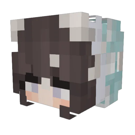 nanon75 Minecraft avatar head, 3D render