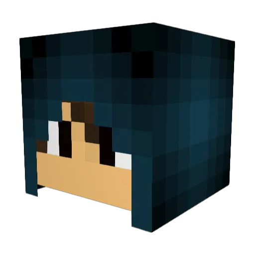 nanowrimo Minecraft avatar head, 3D render